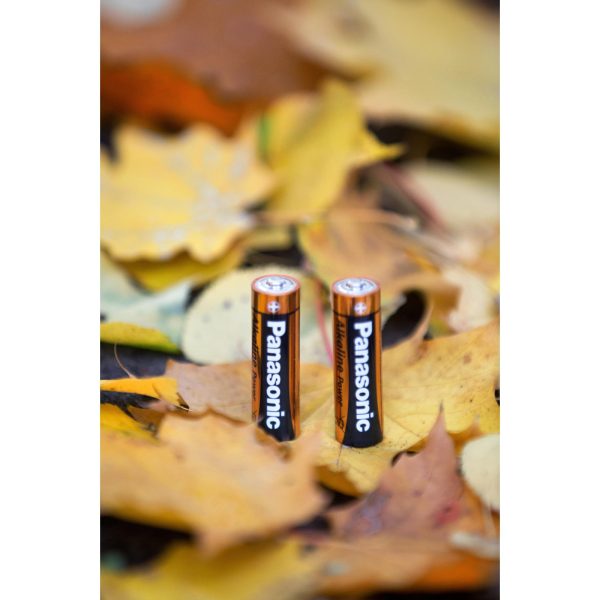 u0109292_5big-8.jpg Panasonic LR06 Alkaline Power AA Battery, 2 pcs