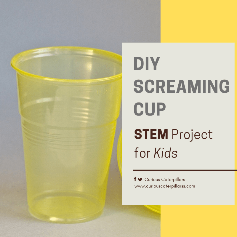 Screaming Cup – STEM Project для дітей